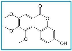 Urolithin M6 8,9,10-Trimethoxy